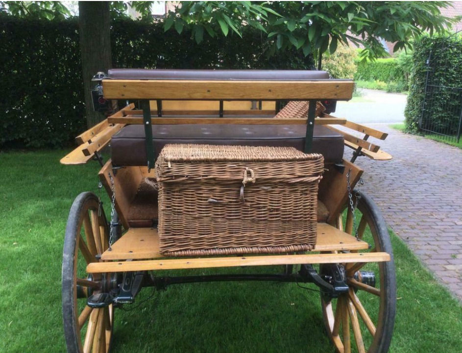 תמונה ממוזערת: כרכרה יוקרה עצ עתיקה + 100 שנים