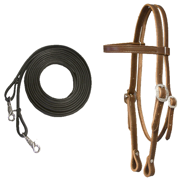 Bridle&Reins.gif