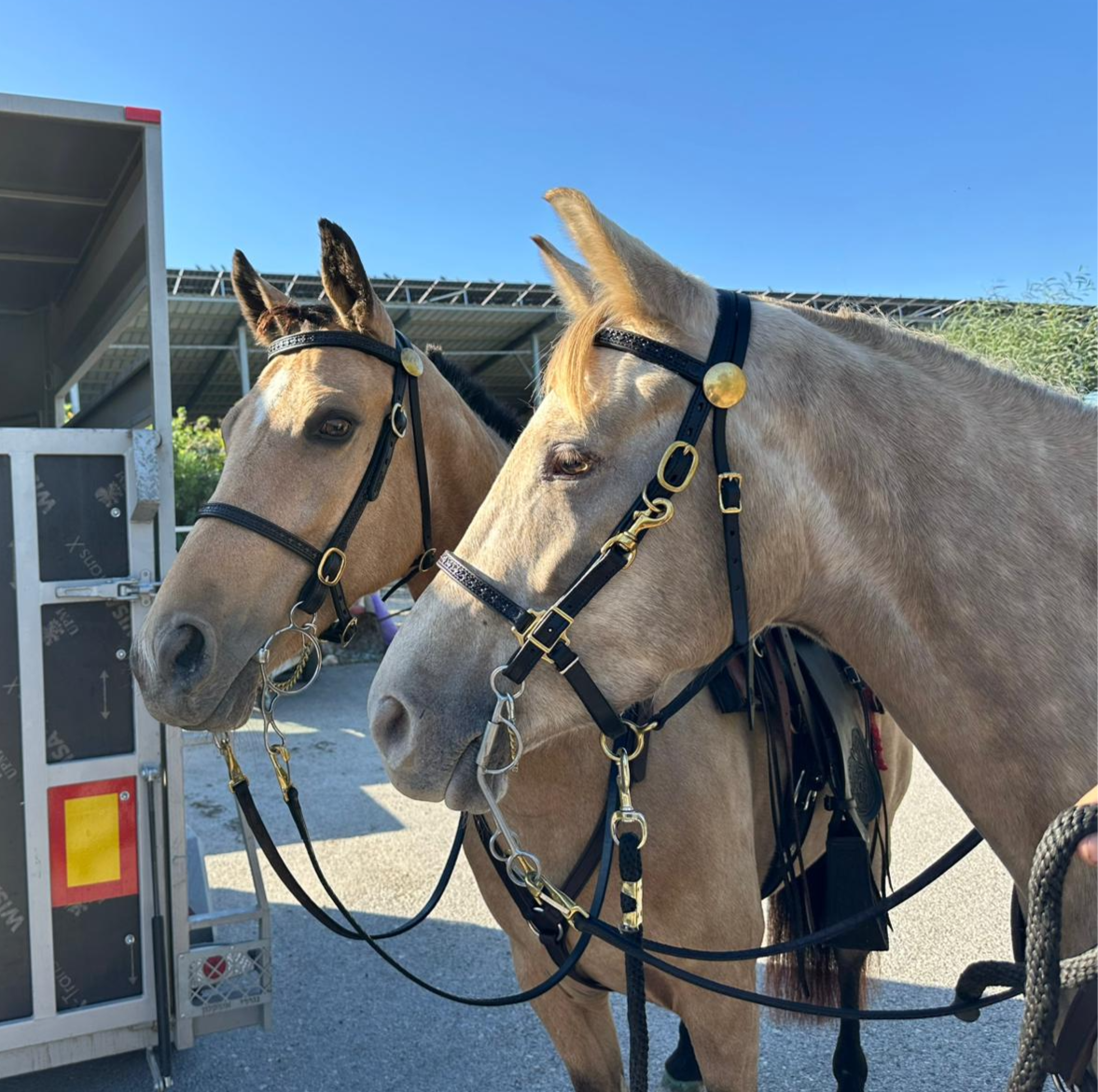 ראשית טיולים/ראשיית רכיבה משולבת -עור