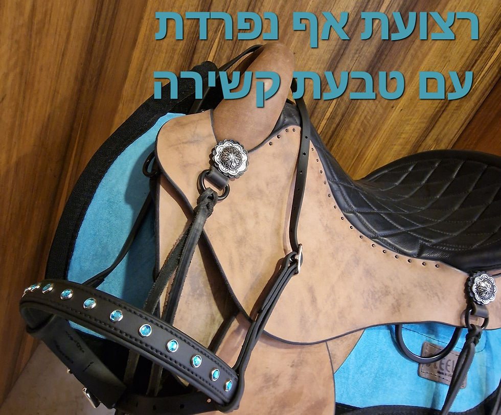 תמונה ממוזערת: סט 2 חלקים. כל הפריטים שחורים מט.  יַהֲלוֹםים כחולים על המצח ועל רצועת האף