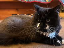 COCO’S STORY: FROM FEAR TO FRIENDSHIP