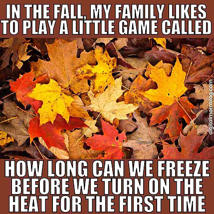 fall meme.jpeg