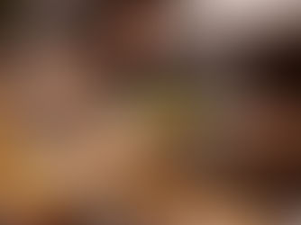 Top 10 Indian Restaurants in Toronto You Must Try in 2026