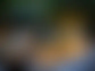 Top 10 Restaurants Serving The Best Chili Chicken in Mississauga