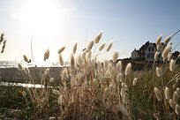 baie audresselles