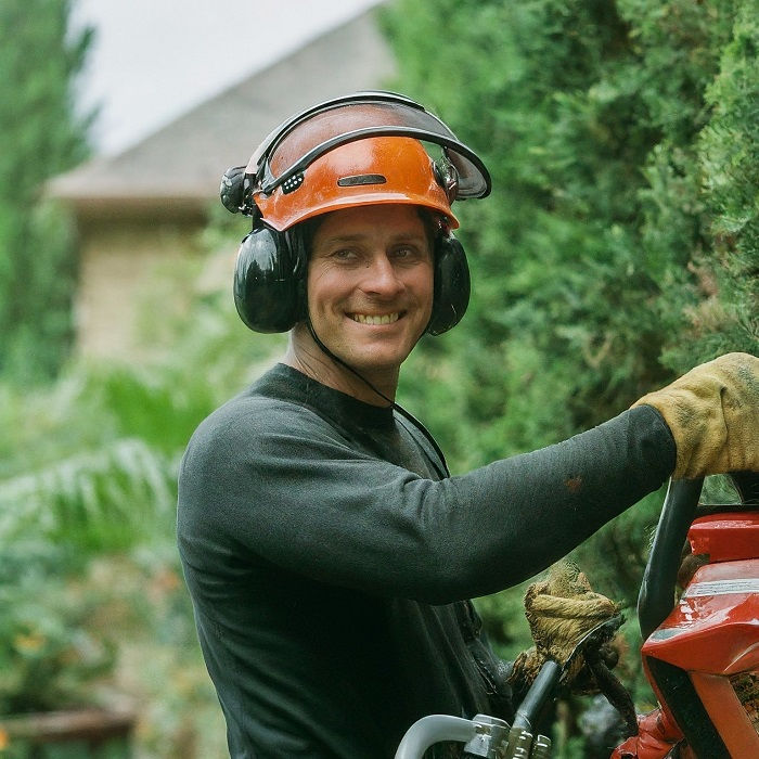 The Secret Lives of Denver's Trees: A Look Beyond the Bark