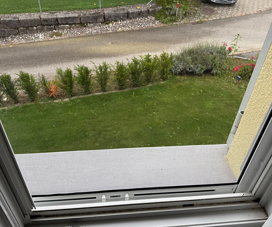 Insektenschutz Rollo Fenster Reiden – flexible Lösung gegen Mücken und Fliegen nach Mass