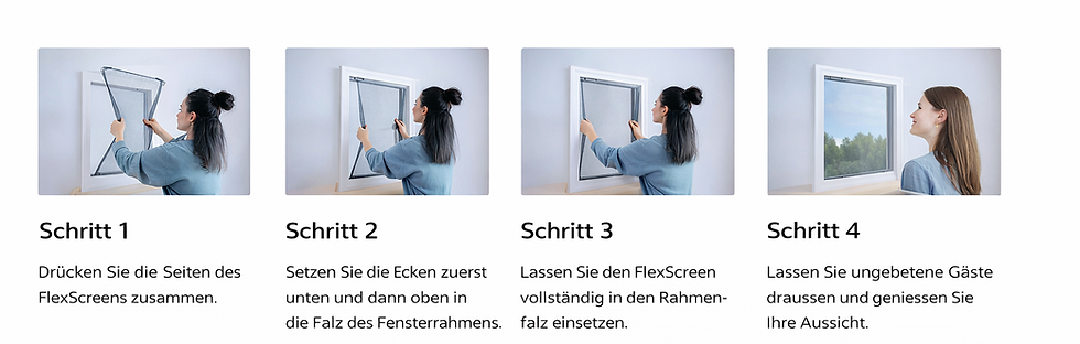 Fliegengitter Günstig zentralschweiz.png