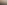 Projekt_bez_tytuÅu_(66).png