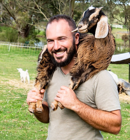 goat hire volunteer flocking adorable stud permaculture