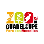 images (1).png