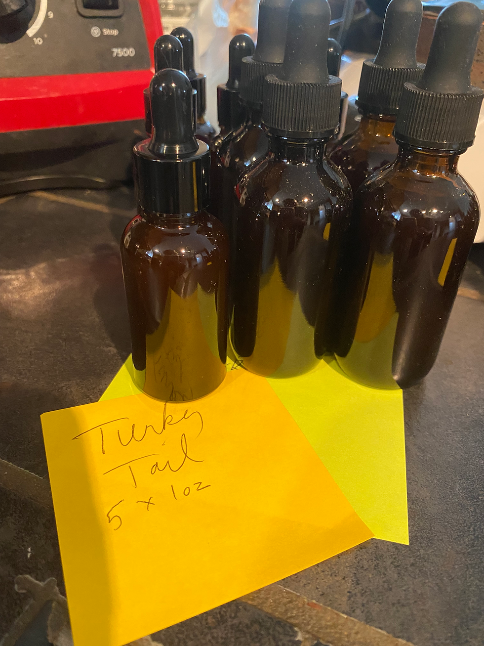 Thumbnail: Lion's Mane Dual Extract