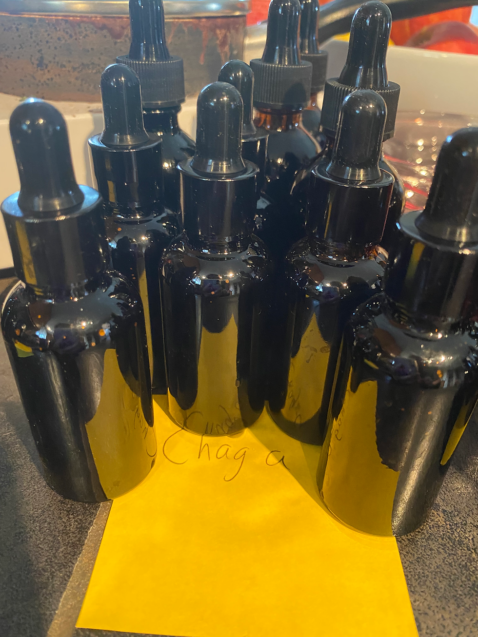 Thumbnail: Lion's Mane Dual Extract
