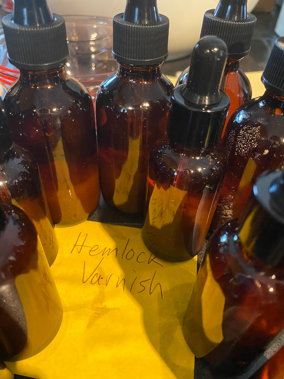 Thumbnail: Lion's Mane Dual Extract