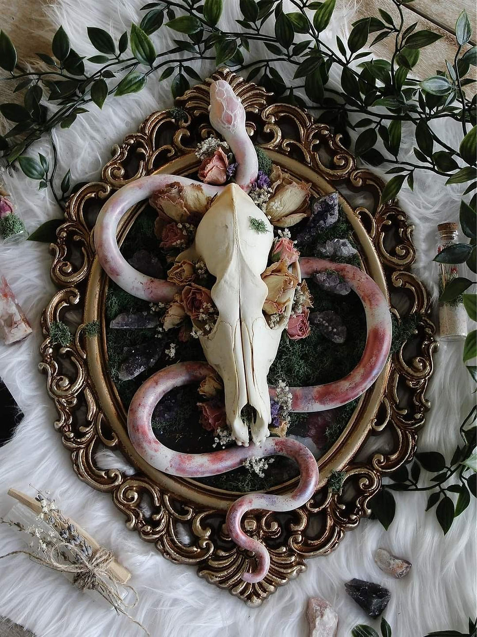 Oddities