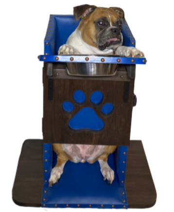 Order Now Bailey Chairs 4 Dogs