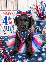 BEAFEAE5-F492-447D-A22B-59DCADB04B38.png