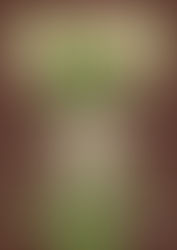 Septiembre verde en el Clot