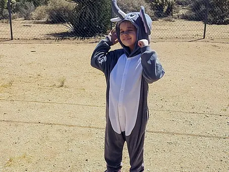 🎃 This adorable elephant costume!