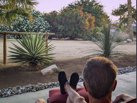 🌵 I love it when the desert sky turns different shades of lavender!