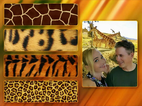 🦓🐅🦚🦙🐆🦘🦛 🦒 What is your favorite animal at the zoo?