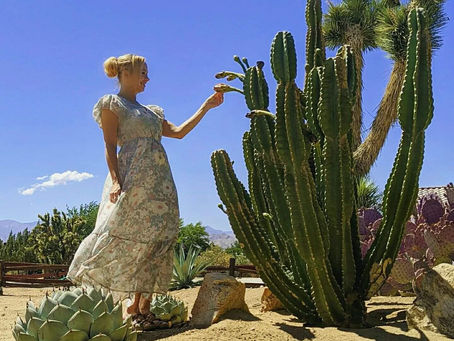 🏜️ I love this time of year when the cactus bloom!!!
