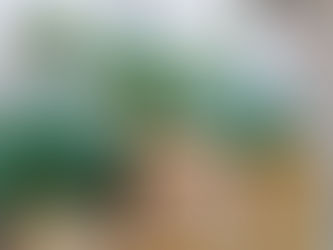 🛍️ I love how these tisforus brown paper kraft bags are so versatile?