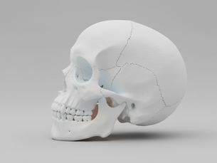 Çift Çene Cerrahisi 3D Planlamayla Yüzünüzü Ne Kadar Değiştirebilir?