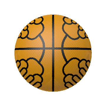 The Bracketverse bracket ball GIF