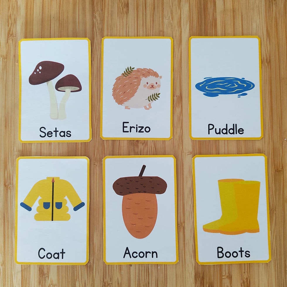 Miniatura: Tarjetas didácticas de Otoño