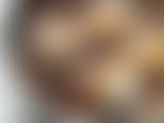 L'automne dans les Pyrénées... Ou... la saison où la neige touche les feuilles... 