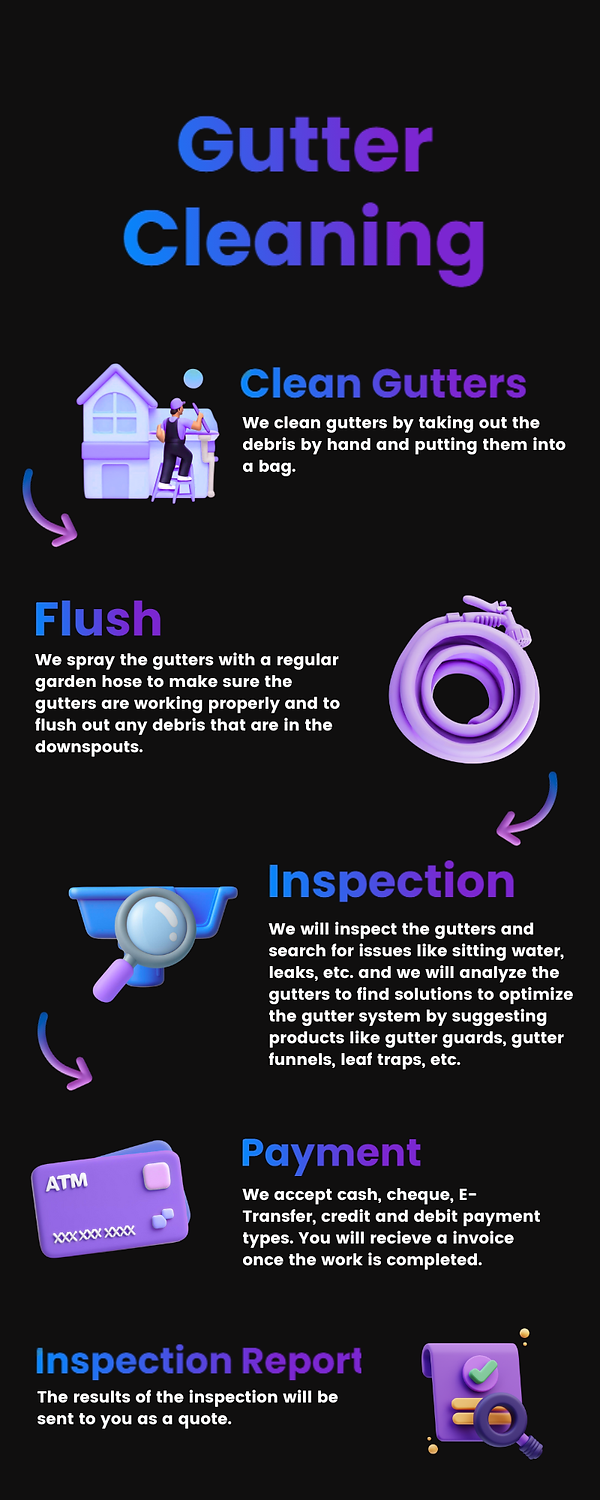 Gutter Cleaning (1).png
