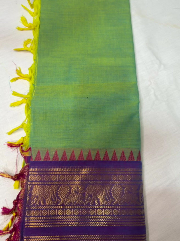 Narayan Pet Style Saree