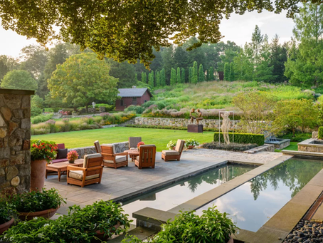 How to Clean Synthetic Grass