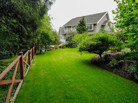 Reduce Allergies with Artificial Grass