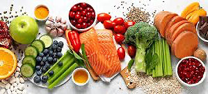 Comprendre Les Macronutriments