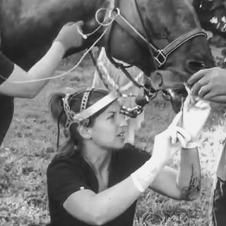 Equine Dentistry
