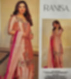 Thumbnail: Ranisa Zari Work 2025