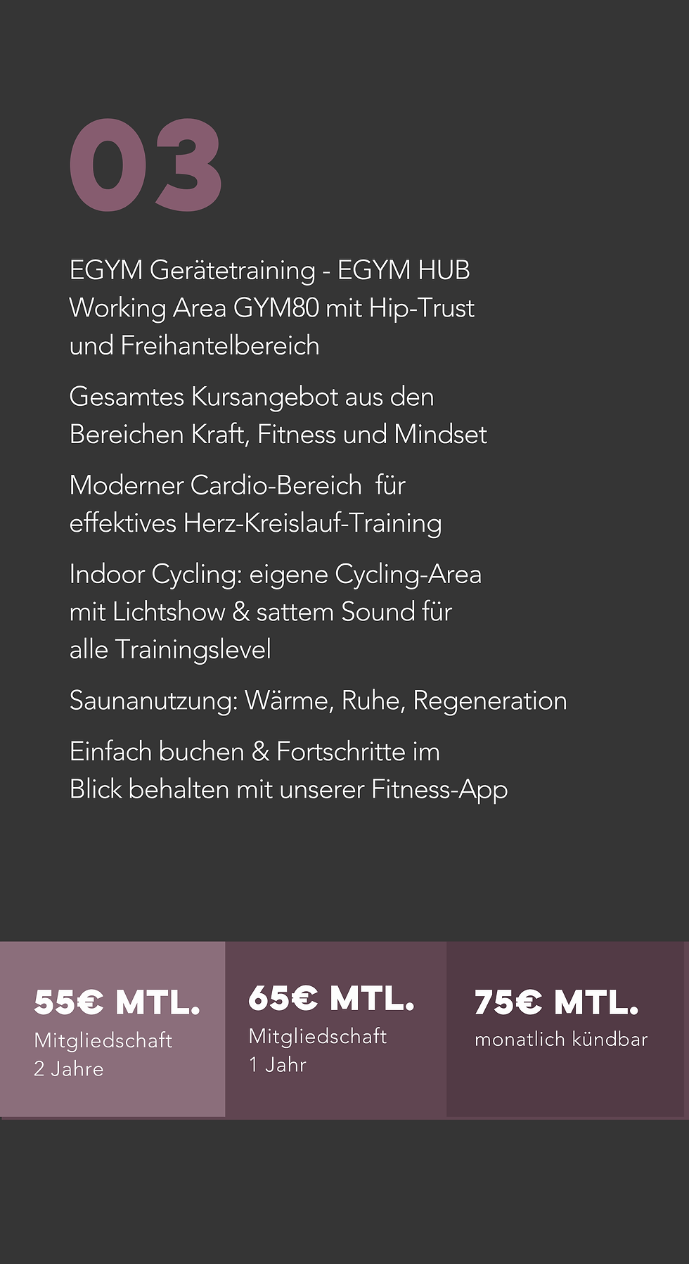Sport Tarife Wix Webseite PZM (47).png