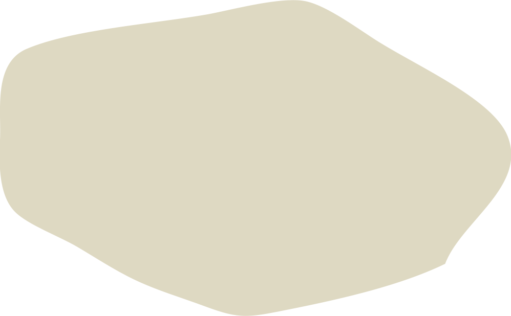 stein.png