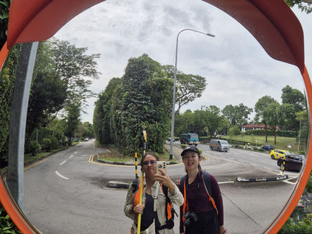 Hot in the city: Thermal and urban ecological fieldwork along Singapore’s Nature Ways