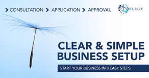 3 Simple Steps to Setup your UAE Company