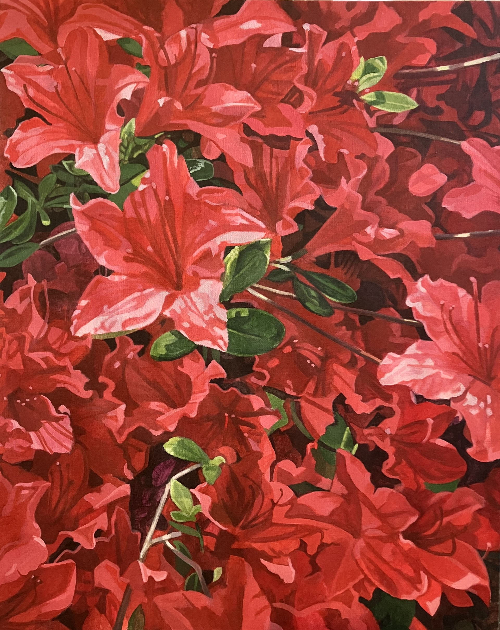 Red Azalea - original