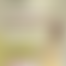 🌟 Formation LaHoChi à Ballan-Miré — Devenez canal de Lumière et d’Amour universel