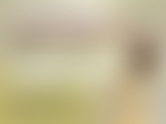 Formation LaHoChi le 20 décembre à Tours