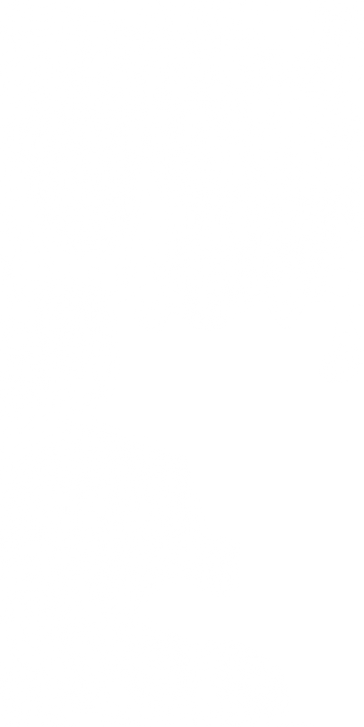 sea-waces-smal_edited.png
