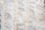 Sand Petal weddings Sarasota