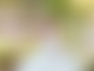 Hailey's quinceañera session: Bradenton - sneak peek.