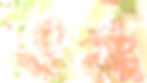AdobeStock_572636365 arranged_edited_edited_edited_edited.jpg