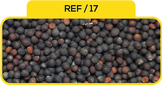 17.png